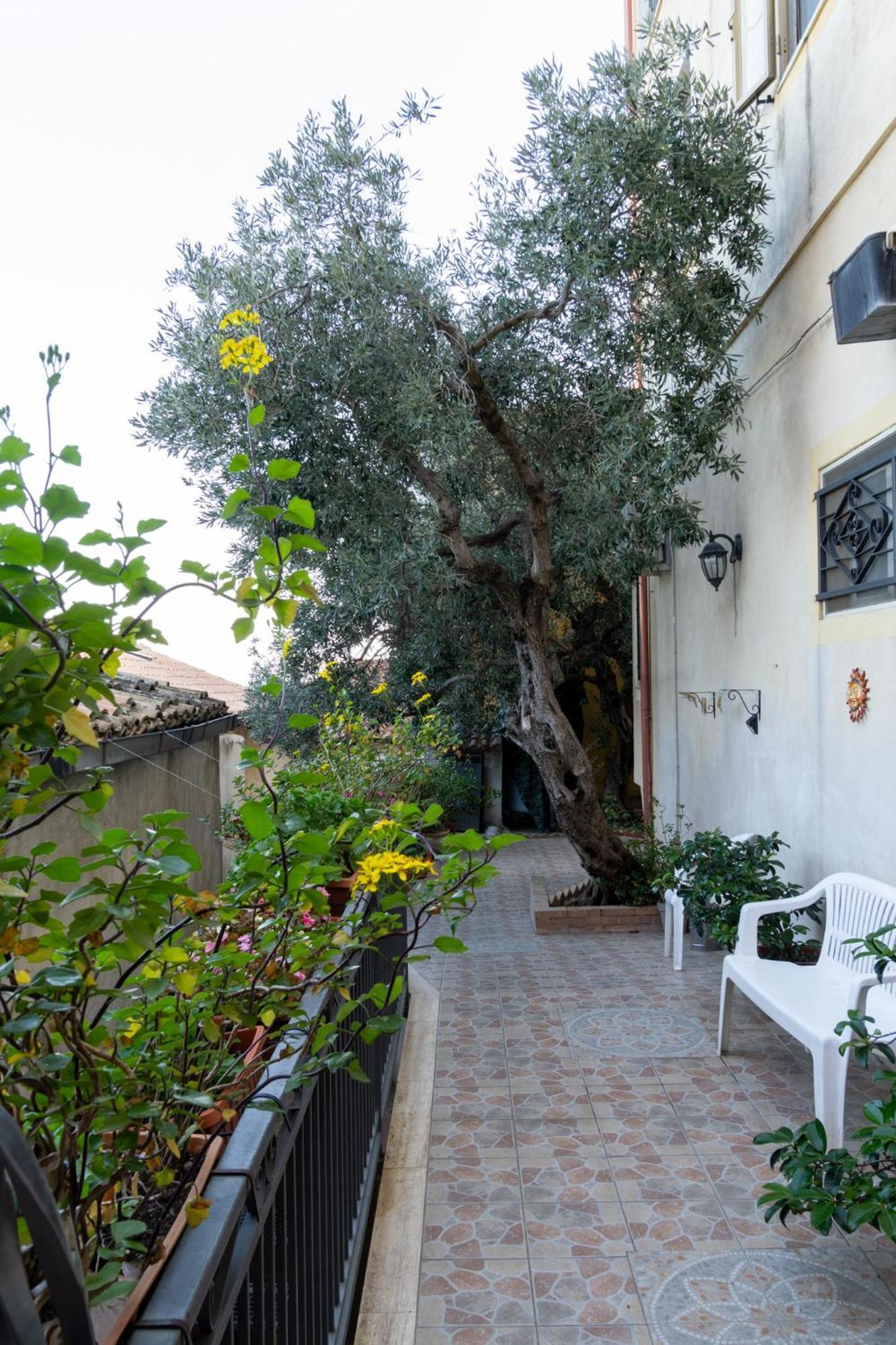 Appartamento Per Turisti Mesovia Santa Severina Exterior photo